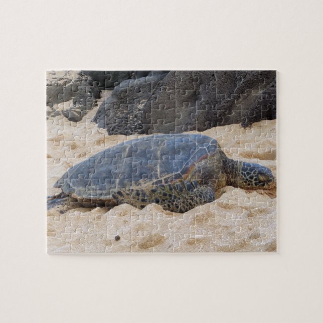 Puzzle Tortuga marina hawaiana (Horizontal)