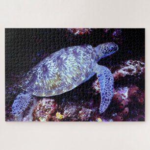 Puzzle Tortuga marina nadando con coral vivo
