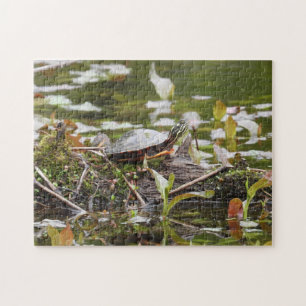 Puzzle Tortuga pintada al iniciar sesión en estanque