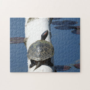 Puzzle Tortuga pintada del este sentada en Birch