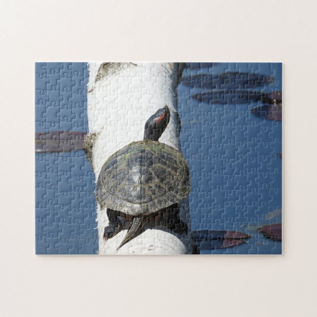 Puzzle Tortuga pintada del este sentada en Birch (Horizontal)