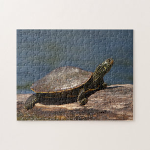 Puzzle Tortuga pintada en un tronco