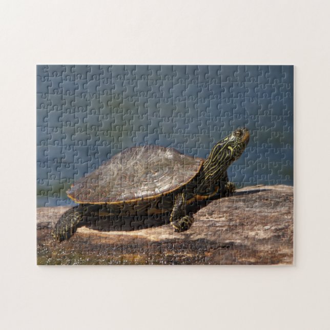 Puzzle Tortuga pintada en un tronco (Horizontal)