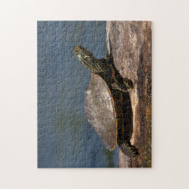 Puzzle Tortuga pintada en un tronco