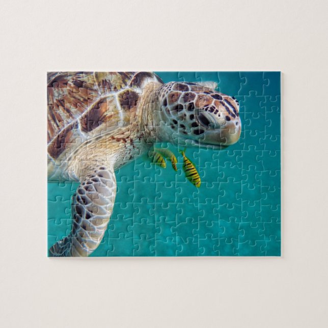 Puzzle Tortuga tropical moderna (Horizontal)