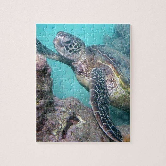 Puzzle Tortuga verde hawaiana (Vertical)