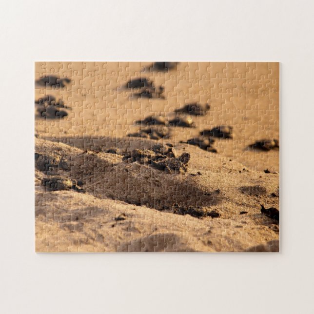 Puzzle Tortugas de mar (Horizontal)