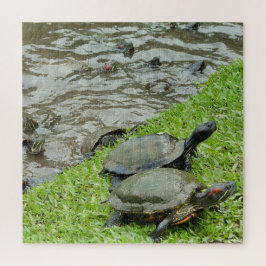 Puzzle Tortugas junto al Agua