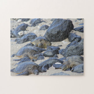 Puzzle Tortugas marinas en Maui