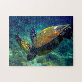 Puzzle Tortugas marinas vivas reales