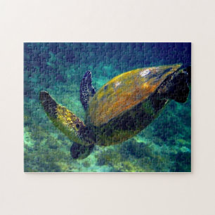 Puzzle Tortugas marinas vivas reales