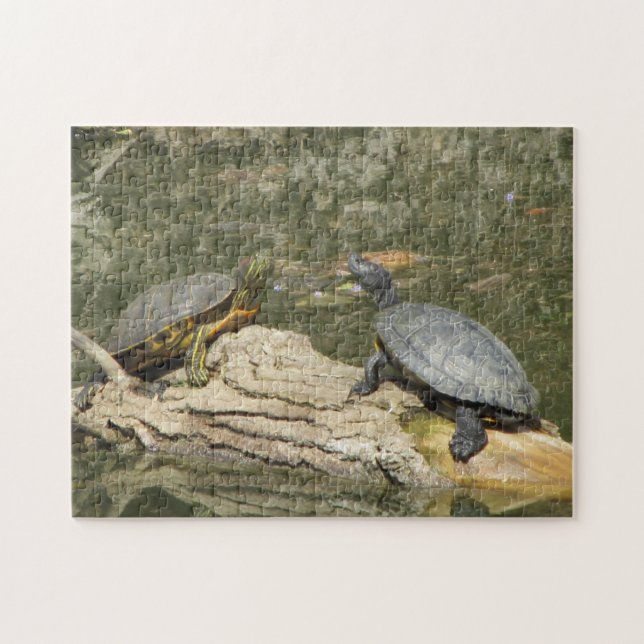 Puzzle Tortugas pintadas (Horizontal)