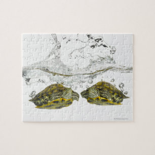 Puzzle Tortugas rojas del resbalador