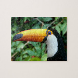 Puzzle Toucan Bebida Amarilla