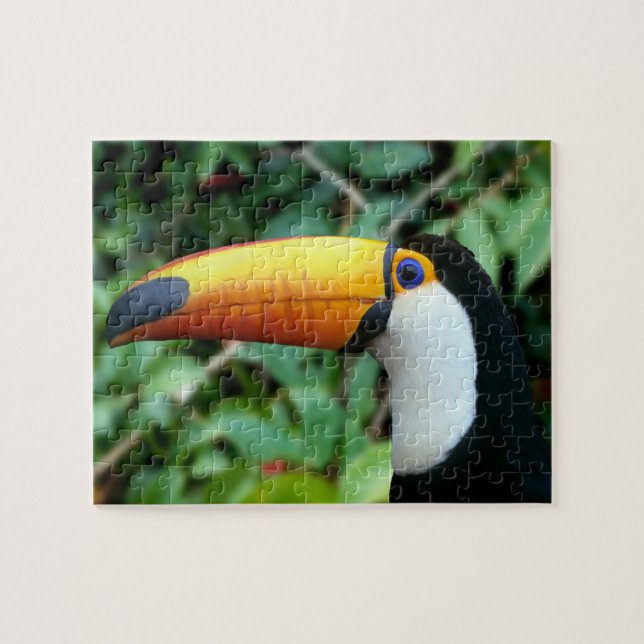 Puzzle Toucan Bebida Amarilla (Horizontal)