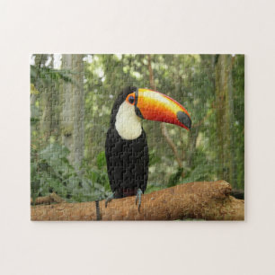 Puzzle Toucan en la rama del árbol