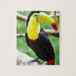 Puzzle Toucan precioso