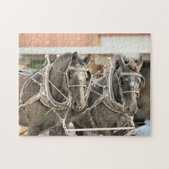 Puzzle Trabajo de equipo (Horizontal)