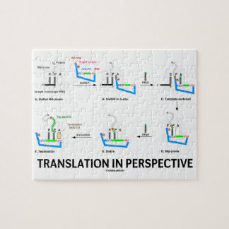 Puzzle Traducción en la perspectiva (proteína de la