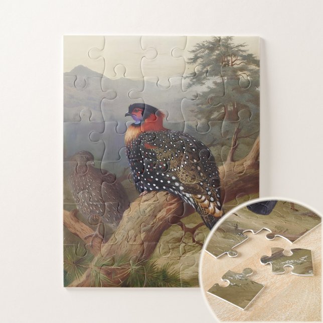 Puzzle Tragopan occidental, Ilustraciones de aves (Subido por el creador)
