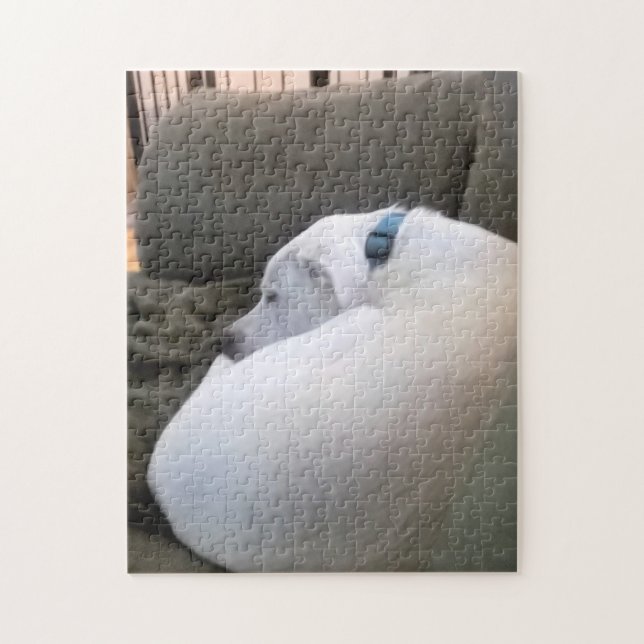 Puzzle Tranquilo perro chubby durmiendo en un sofá (Vertical)