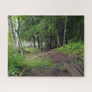 Puzzle Trayecto forestal a través del parque Jay Cooke