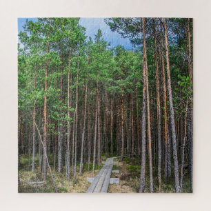 Puzzle Trayectoria de madera en bosque de pinos