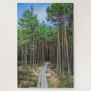 Puzzle Trayectoria de madera en bosque de pinos