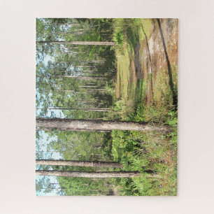 Puzzle Trayectoria En El Bosque 2656