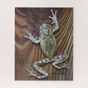 Puzzle Treefrog en la cerca de Cedar