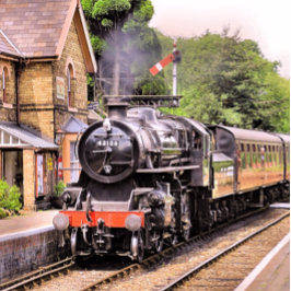 PUZZLE TRENES DE VAPOR