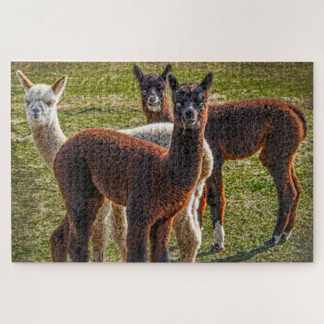 Puzzle Tres amigos alpacas (Horizontal)