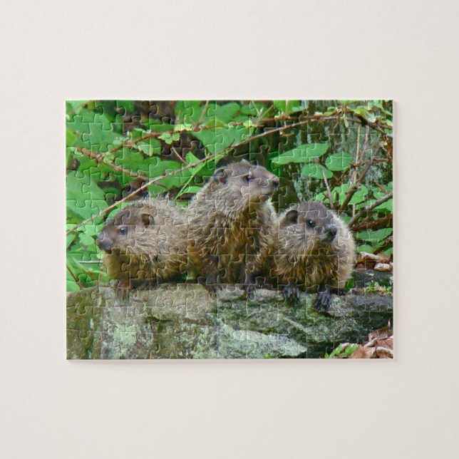 Puzzle Tres Baby Groundhogs (Horizontal)