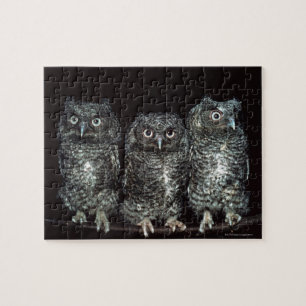 Puzzle tres búhos