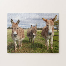 Puzzle Tres burros