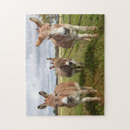 Puzzle Tres burros