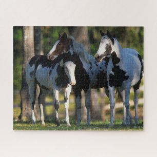 Puzzle Tres Caballos de Pintura juntos