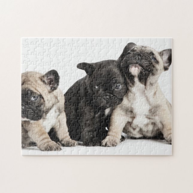Puzzle Tres cachorros Pug (Horizontal)