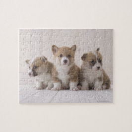 Puzzle Tres Corgi galés