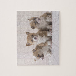 Puzzle Tres Corgi galés