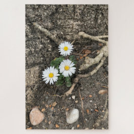 Puzzle Tres Daisies perfectos contra un tronco de árbol