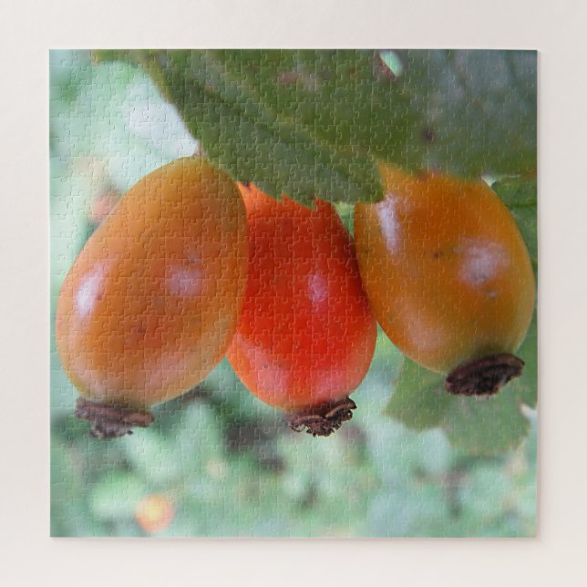 Puzzle Tres escaramujos naranjas (Vertical)