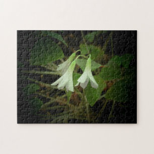 Puzzle Tres flores blancas en tres shamrock de hoja