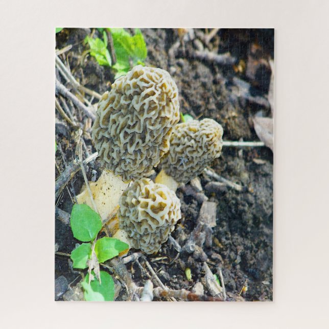 Puzzle Tres hongos moreles grises sentados en el bosque (Vertical)