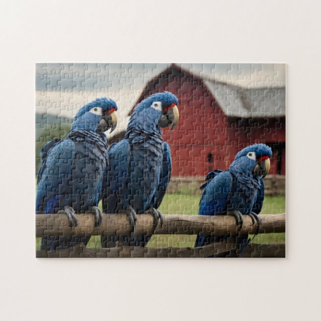Puzzle Tres Hyacinis Macaws a la valla (Horizontal)