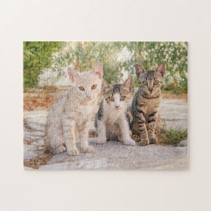 Puzzle Tres jovenes gatitos se sientan amigables juntos