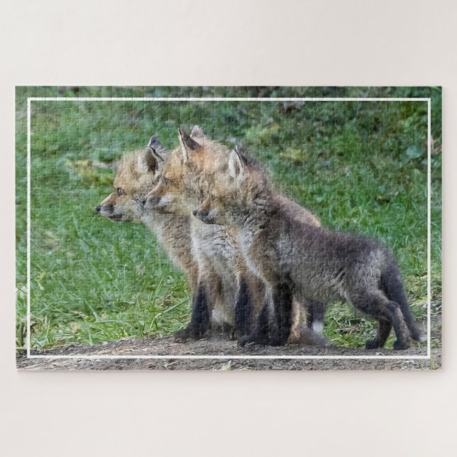 Puzzle Tres Kits Fox (Horizontal)