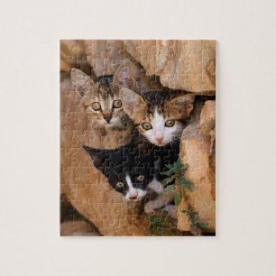 Puzzle Tres lindos gatitos curiosos en una pared