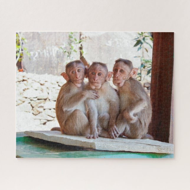 Puzzle Tres monos juntos fauna (Horizontal)