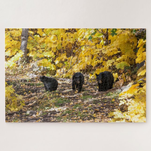 Puzzle Tres Osos (Horizontal)